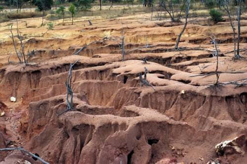 Последствия эрозии почв