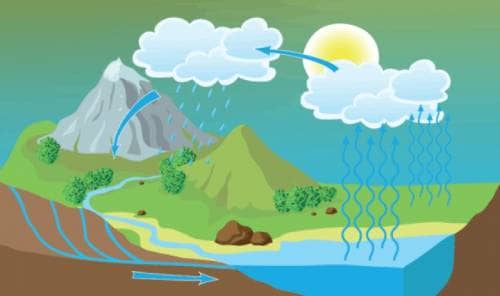 Как происходит круговорот воды в природе