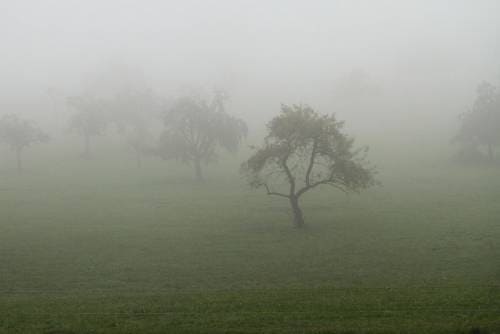 Природное явление туман