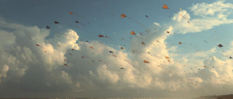 Ветер с двух лиц: чем живут бризы на берегах морей и озёр