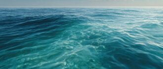 Соль на вкус океана: как устроена соленость и почему она меняется