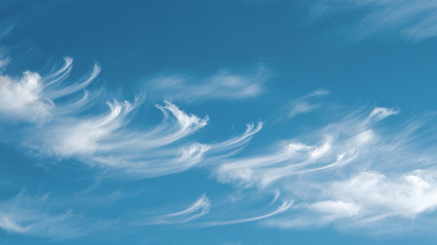 Бризы: что это такое, виды, механизм образования, где наблюдаются. Виды бризов Бризы: что это такое, виды, механизм образования, где наблюдаются. Виды бризов