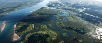 Где река встречает море: тайная жизнь эстуариев