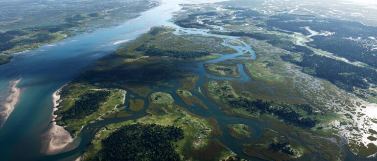 Где река встречает море: тайная жизнь эстуариев