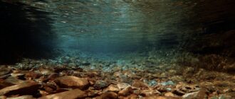 Пресная вода под ногами: где и сколько спрятано в недрах