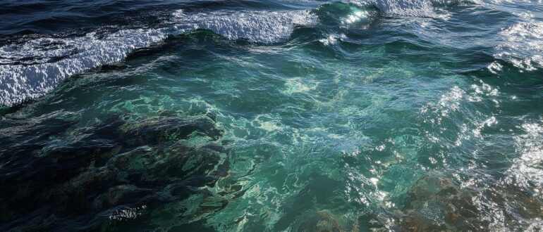 Сине-золотая пустыня Атлантики: жизнь среди плавающих лесов