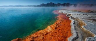 Экстремофилы: организмы, которые обожают кипяток, соль и радиацию